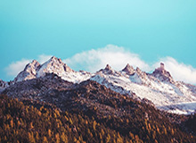 开云体育官网:开启专属于你的精彩投注之旅