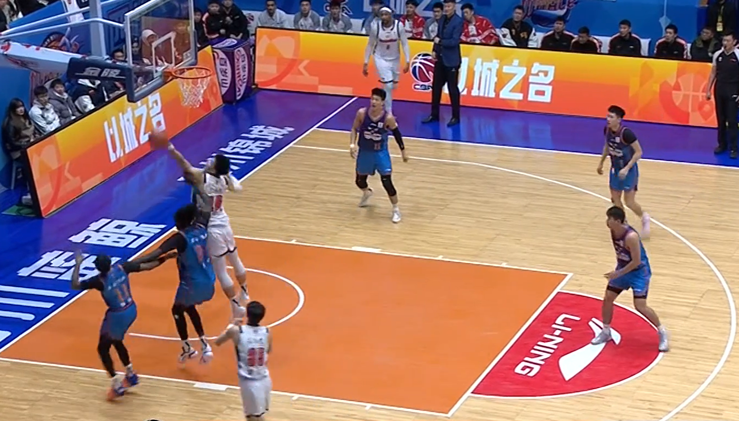 ag亚游-有趣！CBA赛场来了一个不速之客 球迷：头一回见